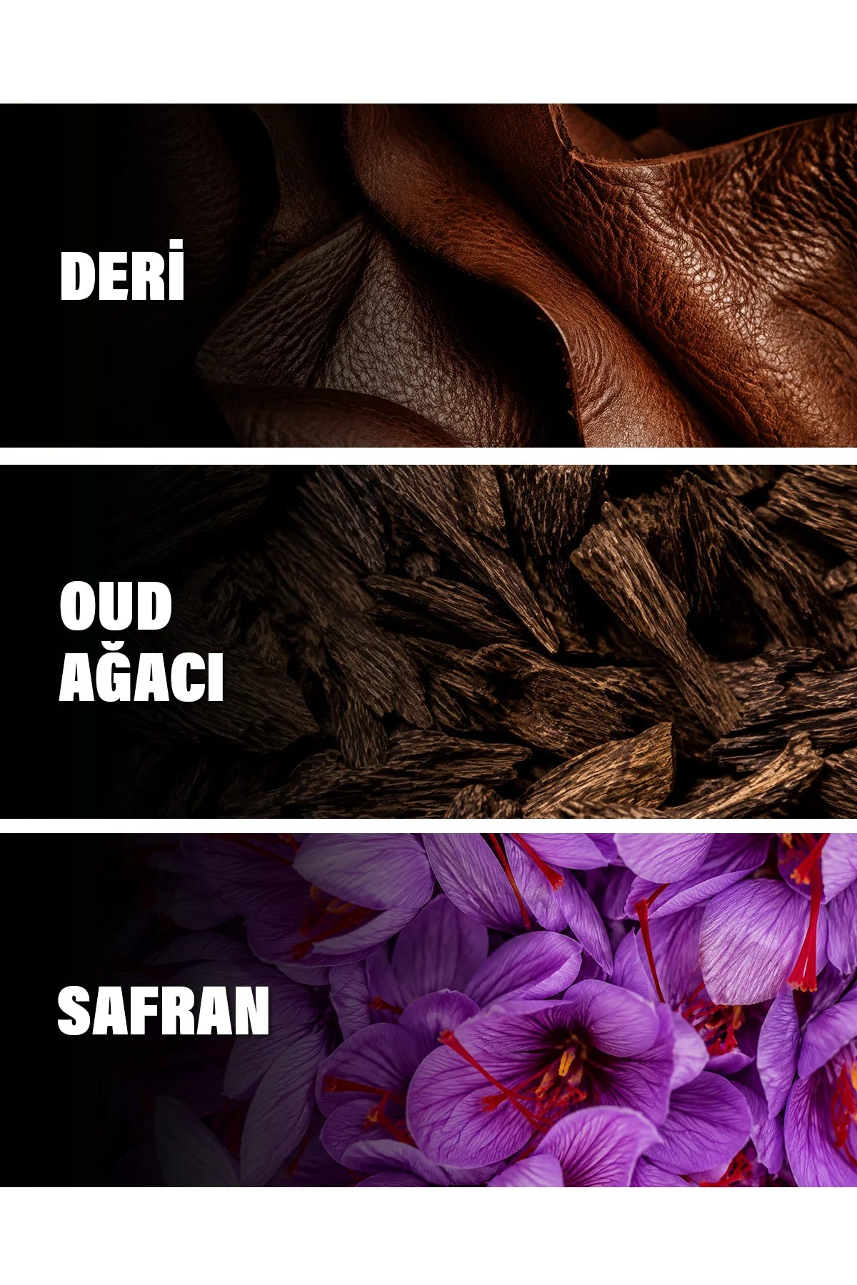 Iberian Leather