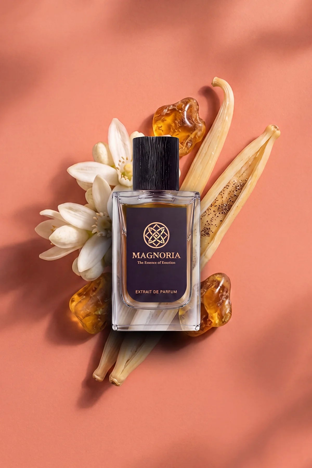 Paradoxe Intense
