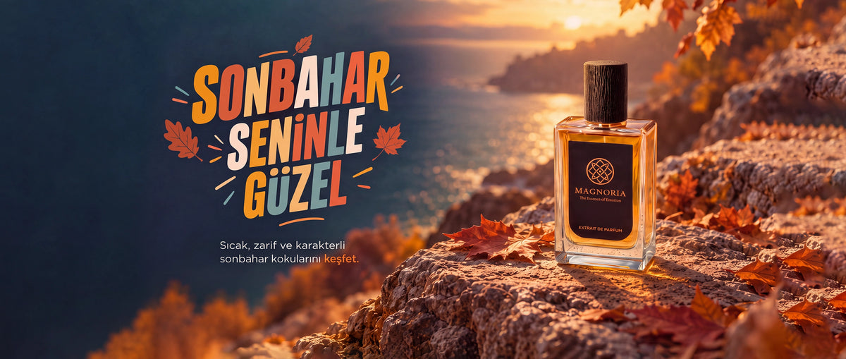 MAGNORIA kampanya bannerı