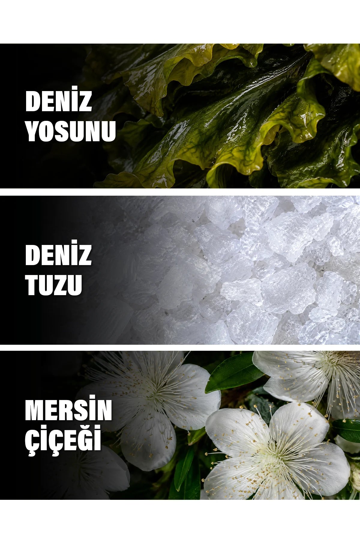 Acqua di Sale