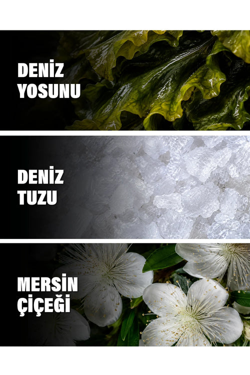 Acqua di Sale