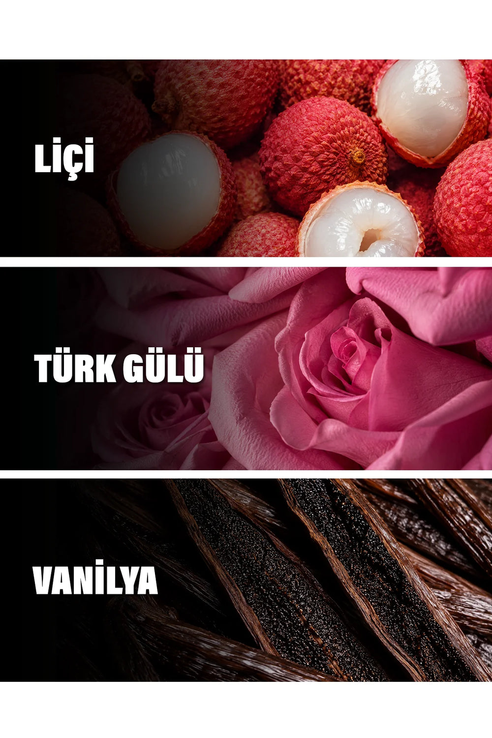 Delina Exclusif