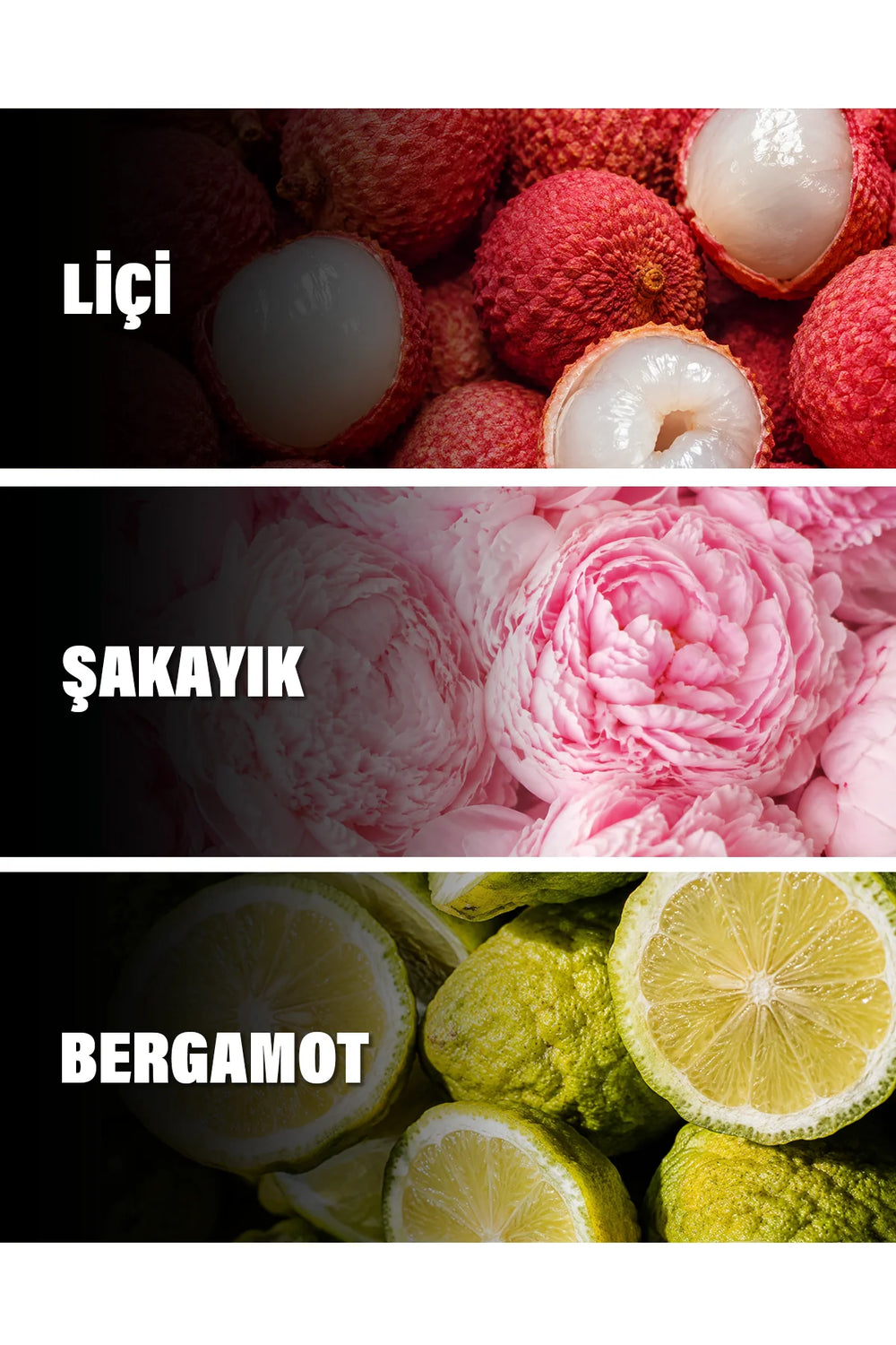 Fleur Narcotique