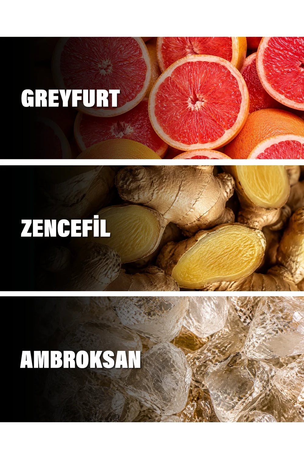Le Gemme Tygar