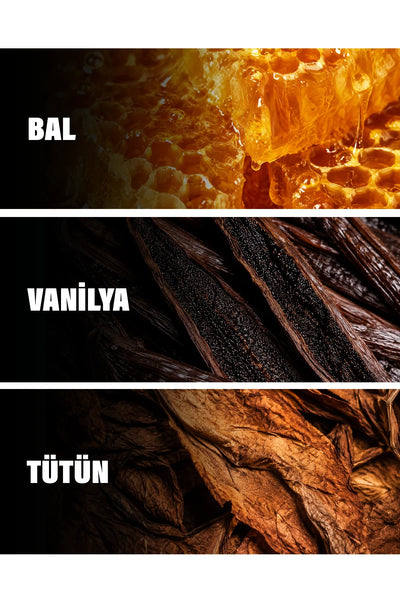 Le Male Elixir