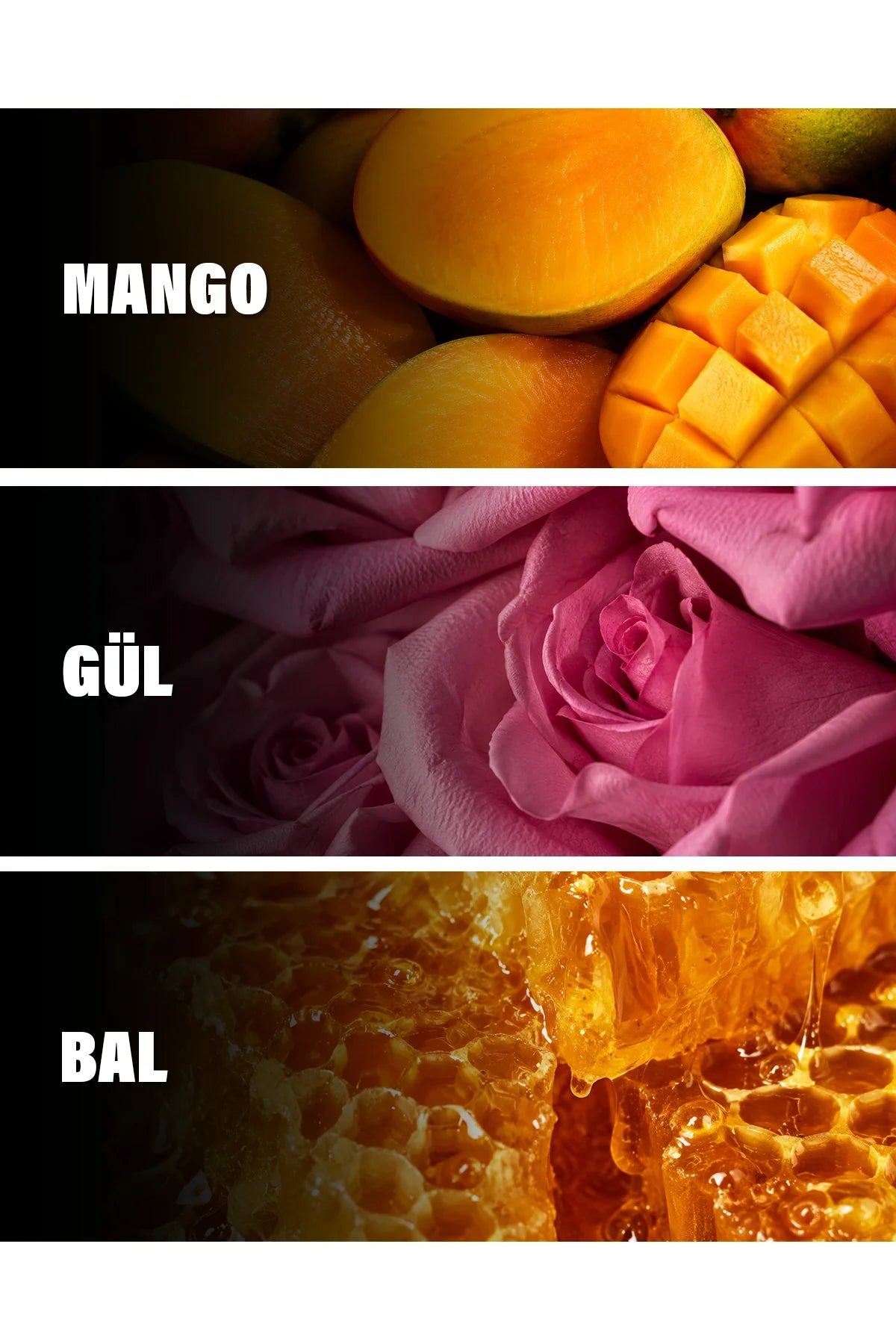 Mangonifiscent
