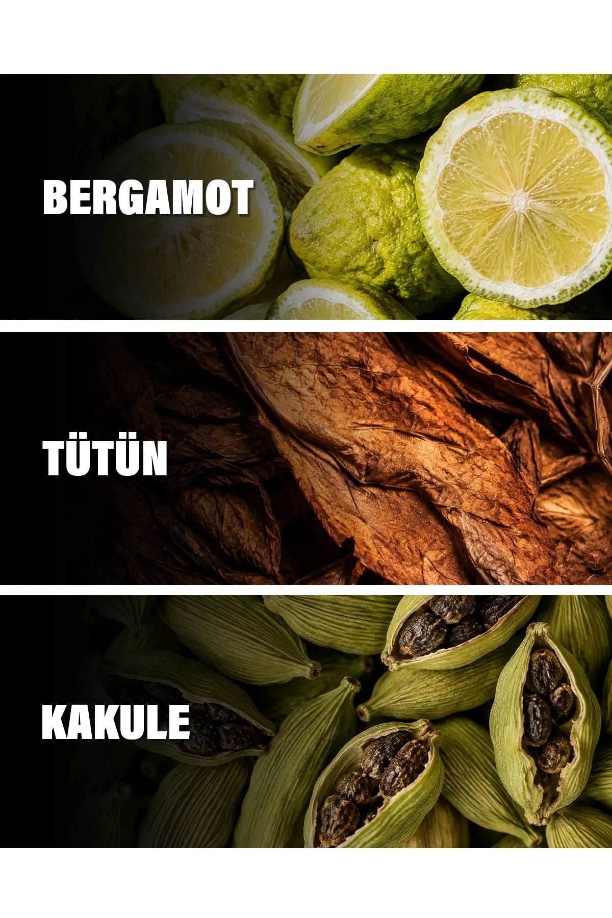 Montabaco Intensivo