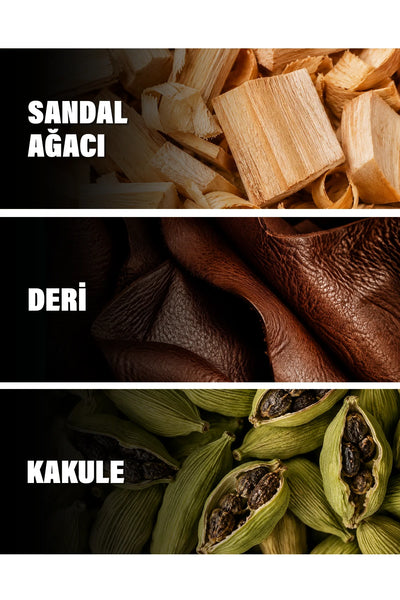 Santal 33