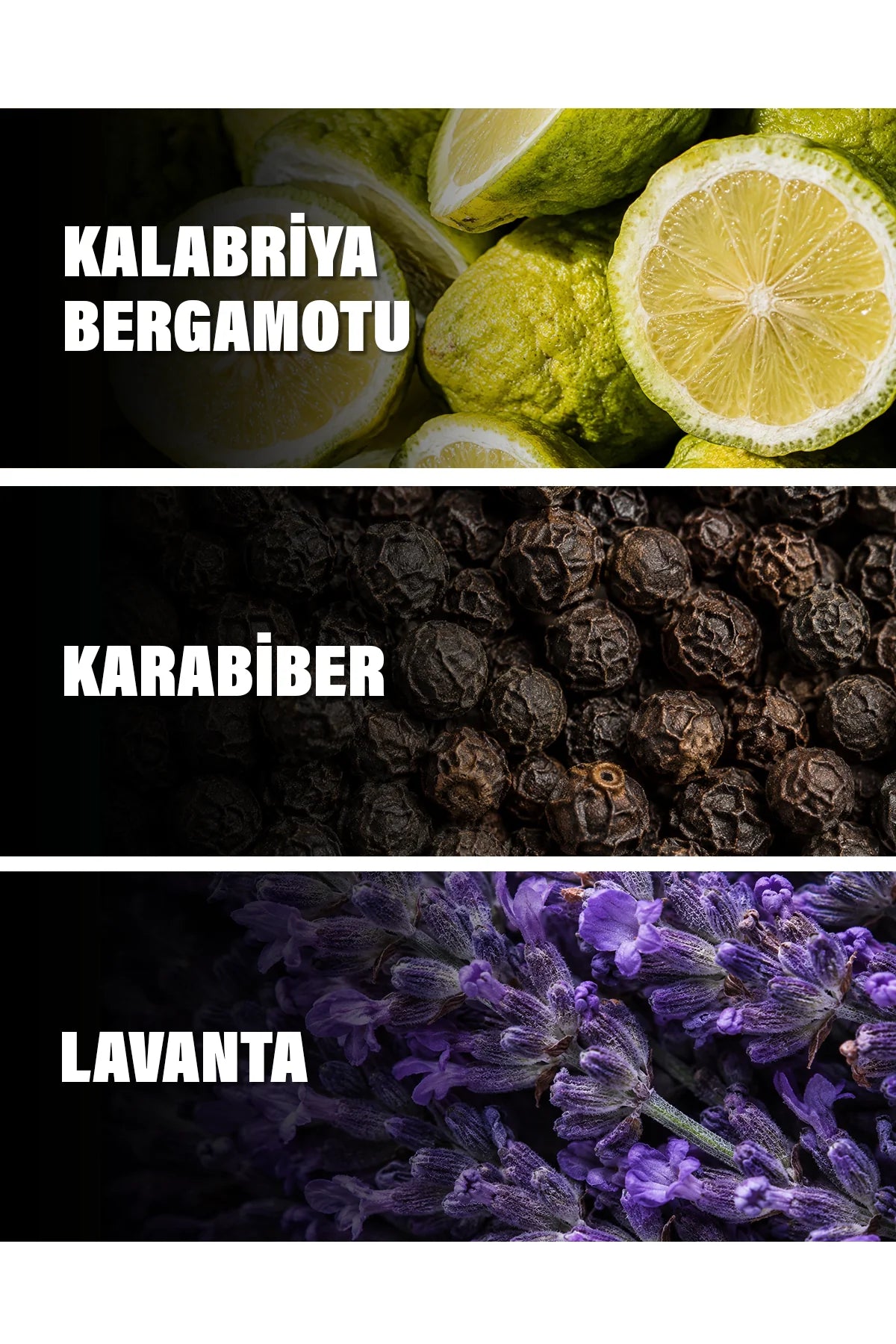 Sauvage